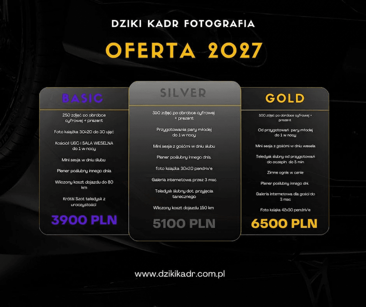 BASIC SILVER GOLD 2027.png
