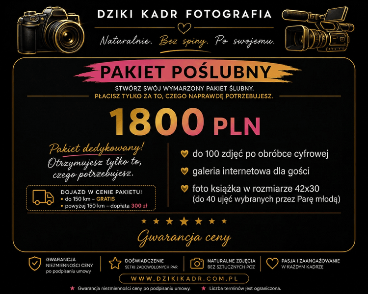 PLENER POŚLBUNY.png